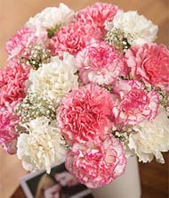 Special Bouquet